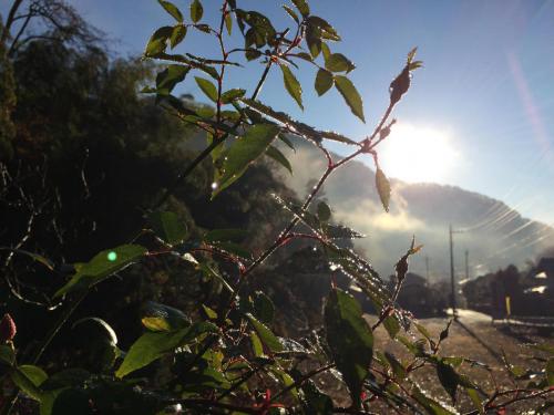 51842403_2356457964634067_4519396478430478336_n